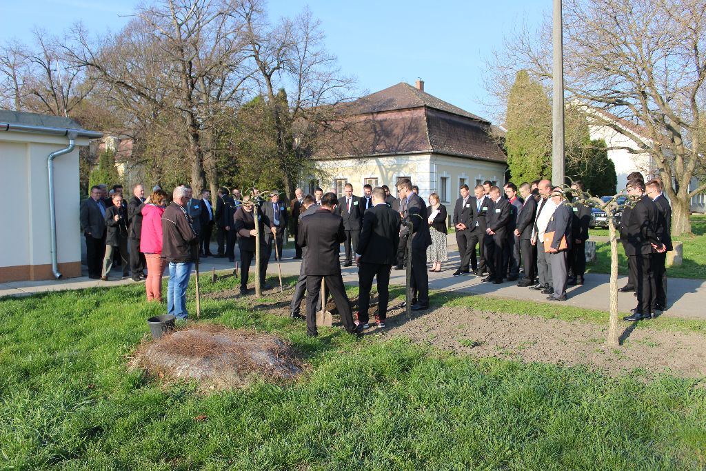 kenderes szktv 2017 031