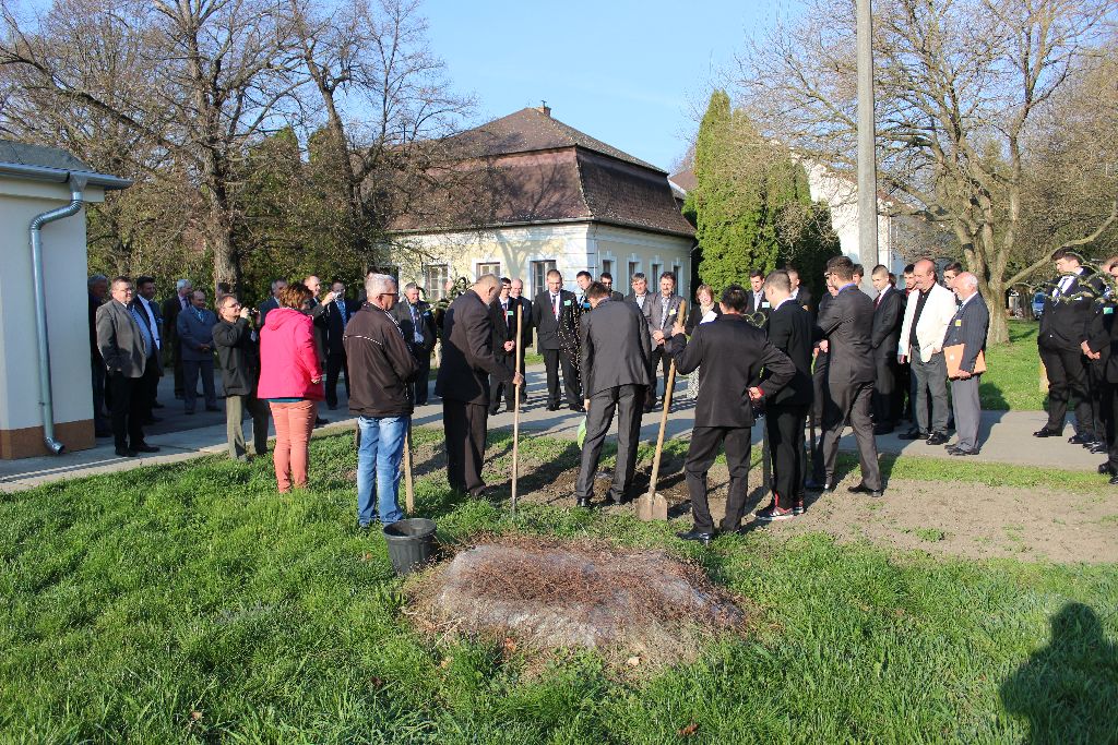 kenderes szktv 2017 032