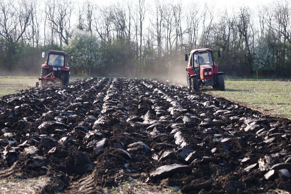 kenderes szktv 2017 059