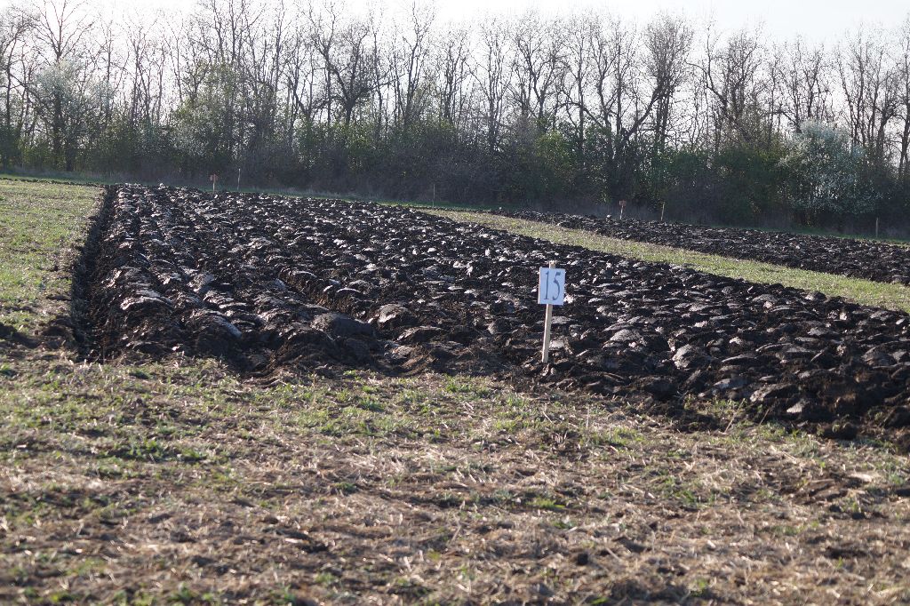 kenderes szktv 2017 061